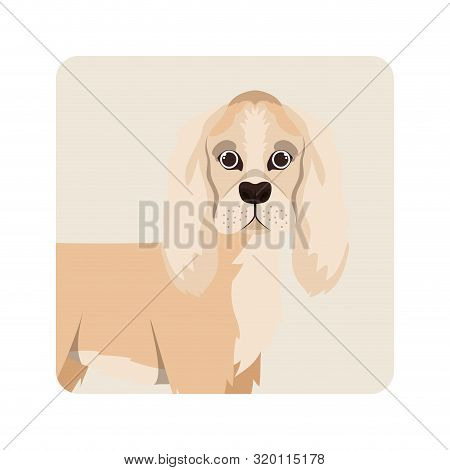 Cute San Bernardo Dog On White Background Vector Illustration Design