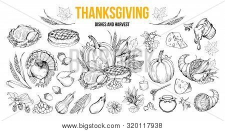 Thanksgiving Coloring Book Illustrations Set. Traditional Autumn Holiday Celebration Hand Drawn Symb