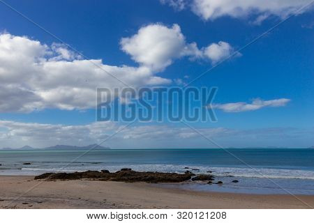 Pink Seaweed On Waipu Beach, New Zealand