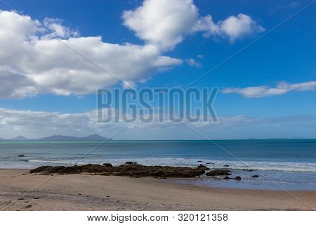 Pink Seaweed On Waipu Beach, New Zealand