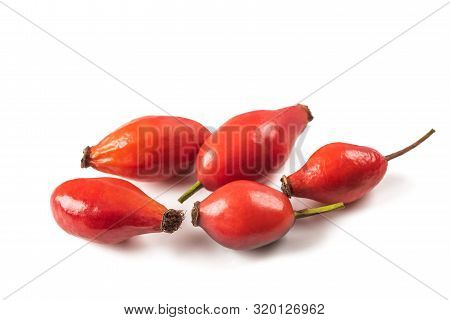 Dog Rose Berries Isolated On White Background