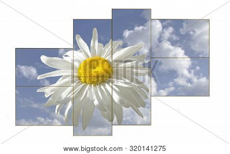White Daisy On Blue Sky Background. Wonderful Drilliance Of Flowers On A Sunny Day.