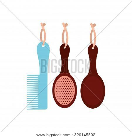 Set Of Hairbrush Combs And Hairbrushes On White Background Vector Illustration Design