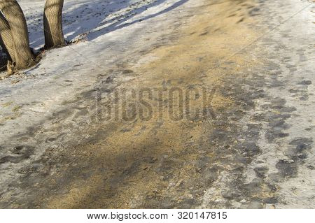 Slippery Winter Road, Sidewalk In The Park, Covered With Ice And Sprinkled With Sand. Anti-skid And 