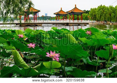 Landscape Of Nanhu Park, Changchun, China - Photographed In Changchun, China