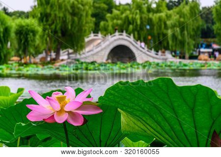 Landscape Of Nanhu Park, Changchun, China - Photographed In Changchun, China