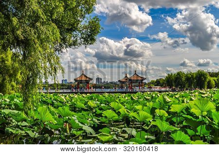 Landscape Of Nanhu Park, Changchun, China - Photographed In Changchun, China