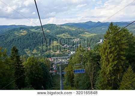 Palenica