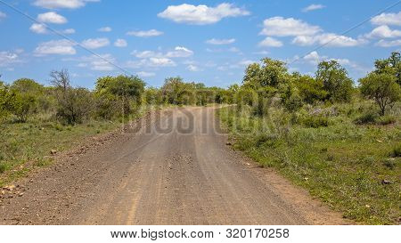 Gravel Road Through Bushveld Savanna In Kruger National Park South Africa