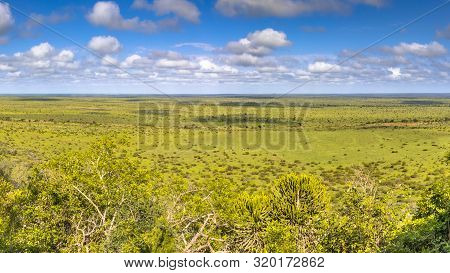 View At Nkumbe Viewpoint In Kruger National Park South Africa