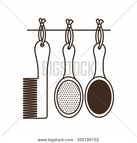 Set Of Hairbrush Combs And Hairbrushes On White Background Vector Illustration Design