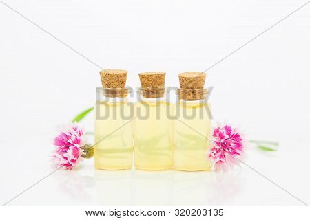 Essence Of Lavender Flowers On White Background In Beautiful Glass Bottle