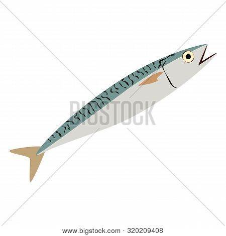Scomber Fish Illustration On The White Background. Vector Illustration