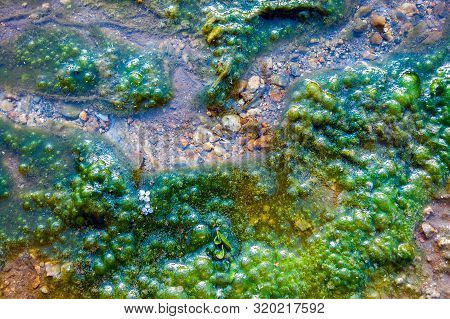 Top-down View Of A Tiny Stream, Clean Water, Colorful Pebbles, Moss Growing Alongside With Air Bubbl