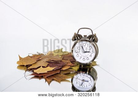 Autumn Yellow Leaves In Nature Abstraction. Abstract Photo