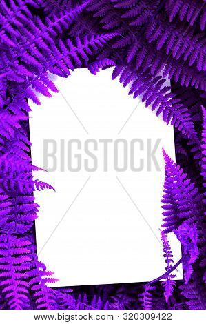 Creative Colored Purple Leaves Layout. Supernatural Concept. Flat Lay, Copy Space, White Card. Ultra