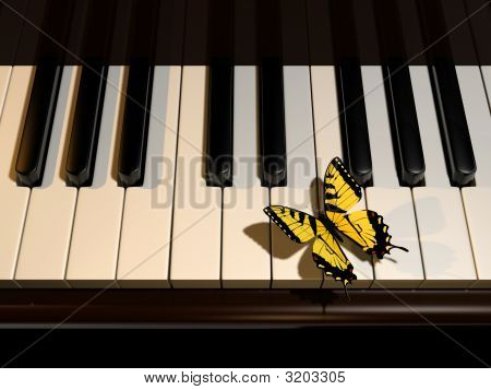 Piano And Butterfly