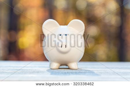 Piggy Bank On A Fall Forest Background With Fall Savings Theme