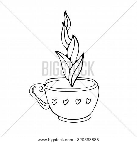 Hand Drawn Coffee Cup Sketch And Tea Vector Illustration. Black And White Vector Illustration Drawn 