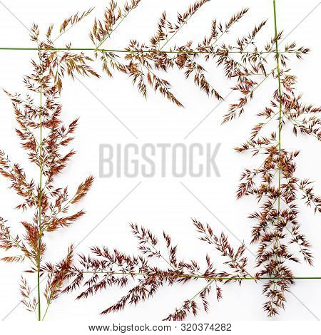 Meadow Grass Folded Frame On A White Background. Greeting Card Concept, Place For Text.