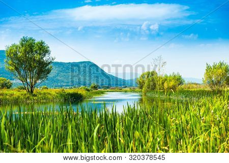 Beautiful Gacka River Flowing Between Trees And Fields, Summer View, Lika Region Of Croatia
