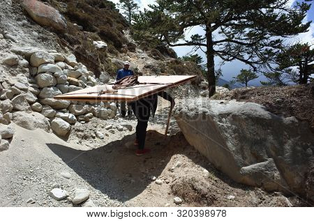 Porter carries super heavy load on the trail to Ama Dablam base camp from Pangboche village. Sagarmatha national park, Solukhumbu, Nepal