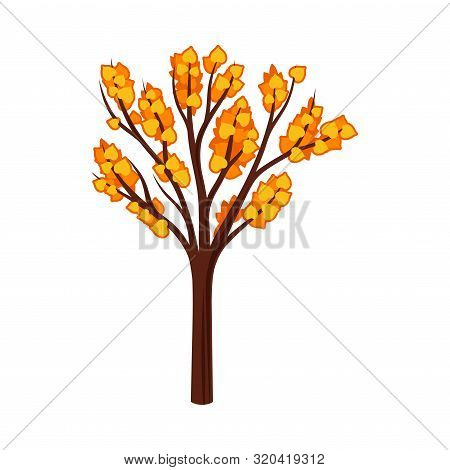Silhouetted Autumn Tree With Leaves. Vector Illustration On A White Background.