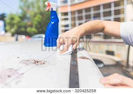Man Hands Cleaning And Spaying Car Exterior. Shit Bird Dropping On Car Roof.