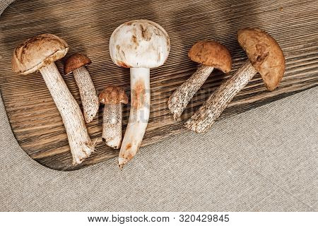 Various Forest Edible Mushrooms On Wooden Background. Fresh Raw Fungus On Table. Scaber Stalk (birch