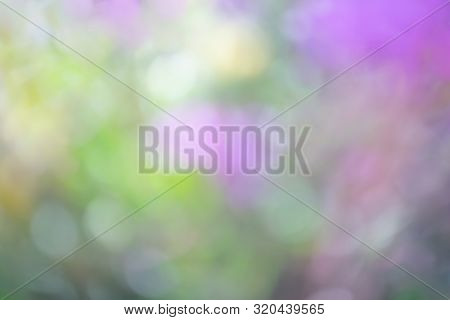 Defocused Abstract Background In Violet-yellow Tones. The Atmosphere Of Spring And Celebration.