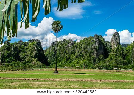 Rice Farm With Limestone Mountain Range At Noen Maprang , Phitsanulok Province In Thailand