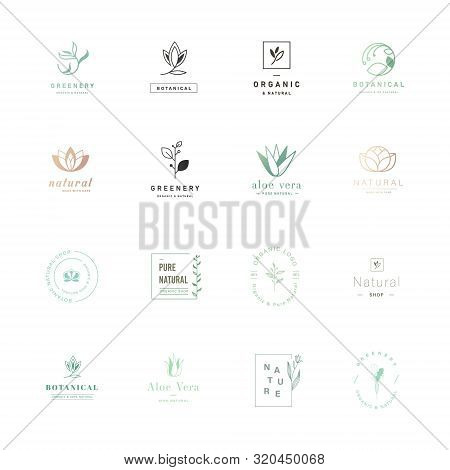 Set Of Natural Logo Design Vector Isolated On White Background