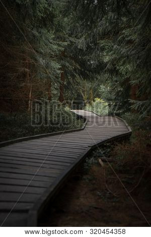 Bedrichov Is A Village In The Liberec Region Of The Czech Republic. It Is Located About 8 Km North-n