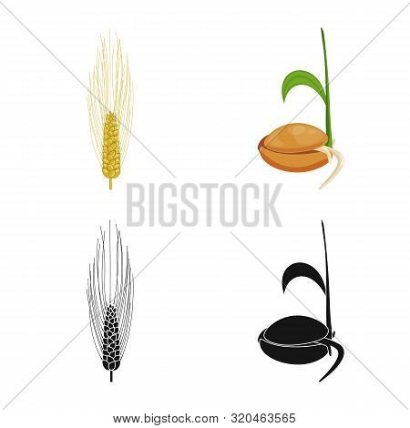 Vector Design Of Agriculture And Farming Icon. Set Of Agriculture And Plant Vector Icon For Stock.