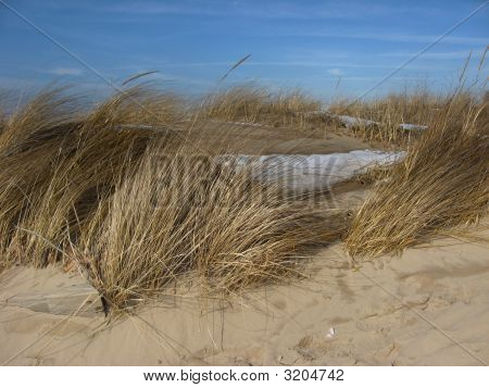 Grass Beach v zimě