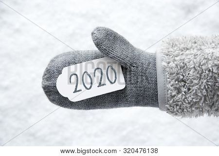 Wool Glove, Label, Snow, Text 2020, White Background