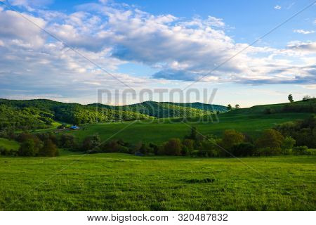 Scenic Panoramic View Of Rolling Countryside Green Farm Fields With Sheep, Cow And Green Grass.
