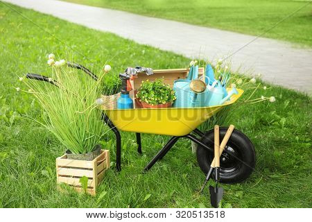 Composition With Gardening Tools On Green Grass