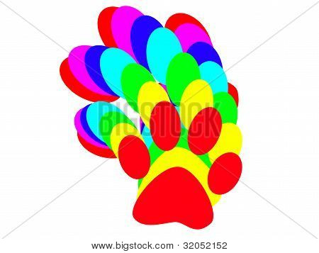 kolorowy paw