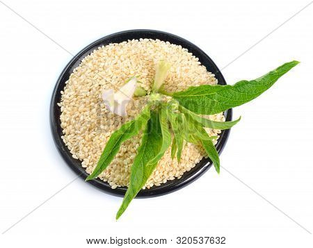 Sesame Plant With Flowers And Seed Isolated On White Background