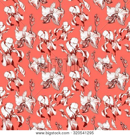 Floral Seamless Pattern With Hand Drawn Ink Iris And Orchid Flowers On Coral Living Background. Flow