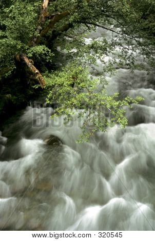 Ohanapocosh řeka