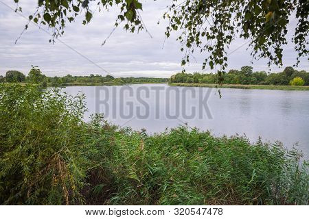 City Carnikava, Latvian Republic. Green Nature In Summer With River Gauja And Waves. Travel Photo. S
