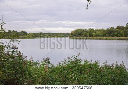 City Carnikava, Latvian Republic. Green Nature In Summer With River Gauja And Waves. Travel Photo. S