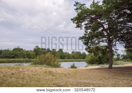 City Carnikava, Latvian Republic. Green Nature In Summer With River Gauja And Waves. Travel Photo. S