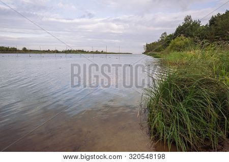 City Carnikava, Latvian Republic. Green Nature In Summer With River Gauja And Waves. Travel Photo. S