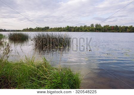 City Carnikava, Latvian Republic. Green Nature In Summer With River Gauja And Waves. Travel Photo. S