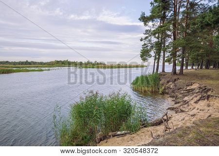 City Carnikava, Latvian Republic. Green Nature In Summer With River Gauja And Waves. Travel Photo. S