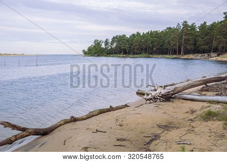 City Carnikava, Latvian Republic. Green Nature In Summer With River Gauja And Waves. Travel Photo. S