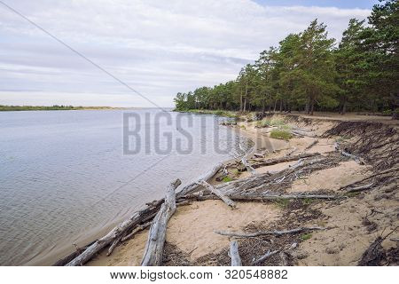 City Carnikava, Latvian Republic. Green Nature In Summer With River Gauja And Waves. Travel Photo. S